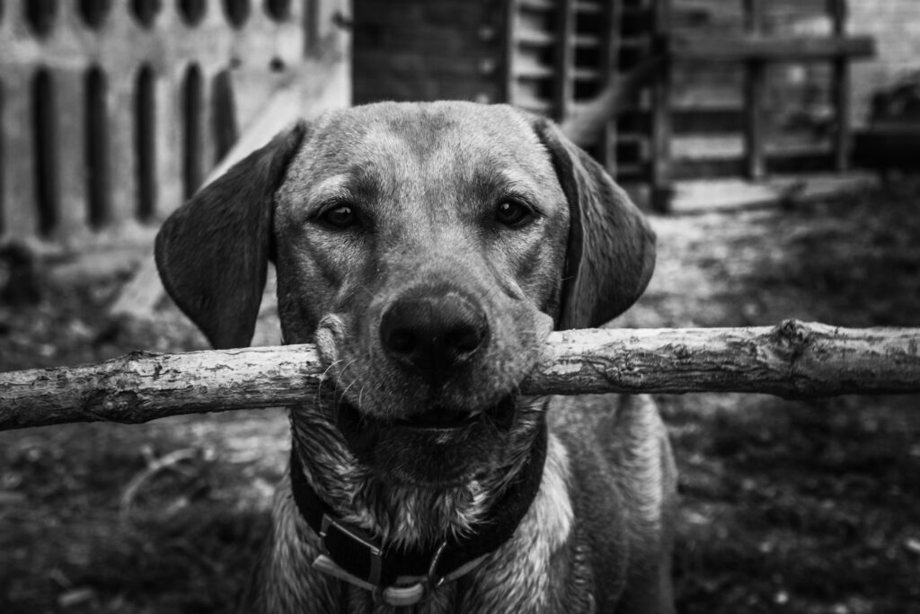 AlexHantariIHateStreetPhotography_23