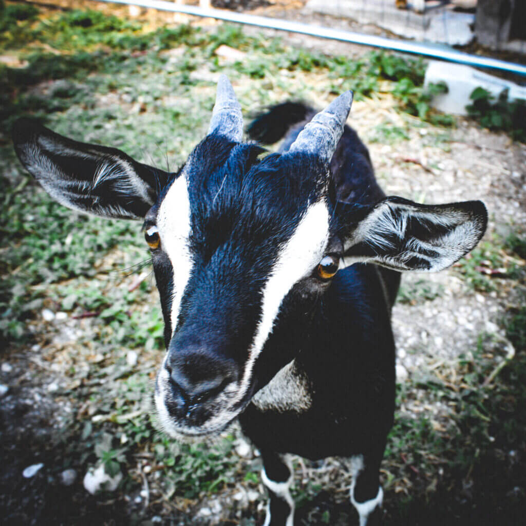 AlexHantariIHateStreetPhotography_44